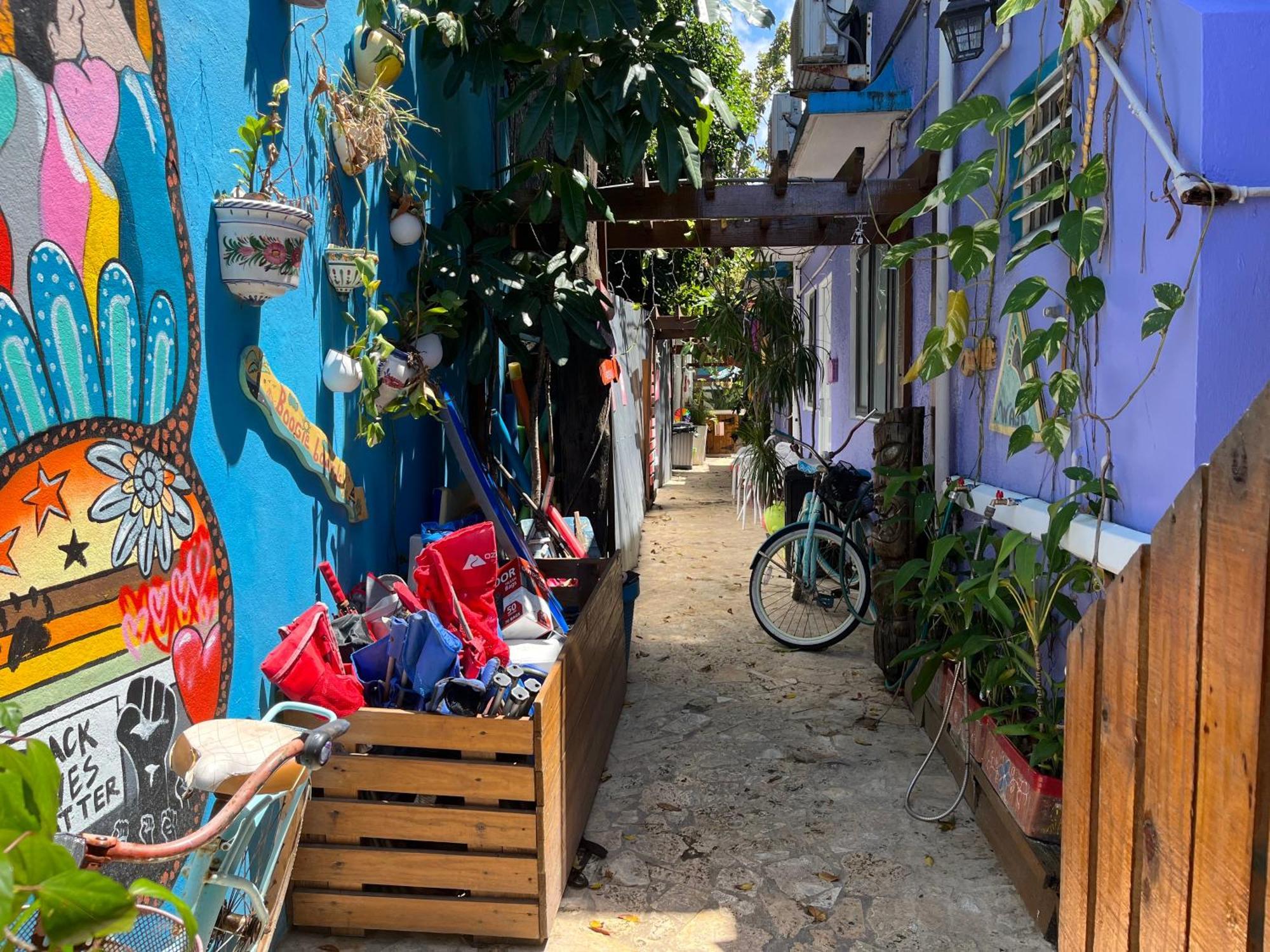 Lower Price, More Style, Discount Studio In San Juan,Pr, Beach, Free Bikes (Adults Only) Exteriör bild