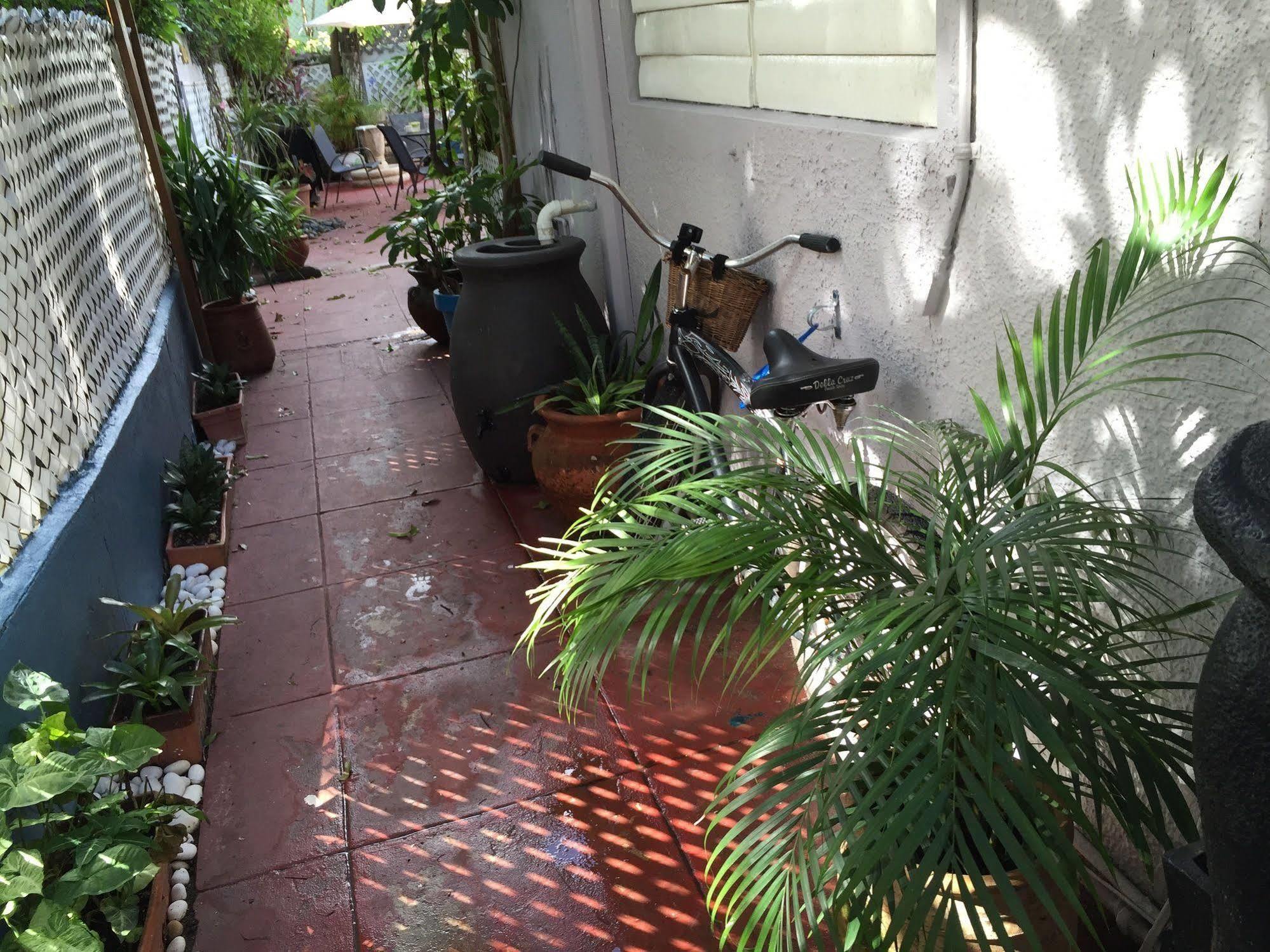 Lower Price, More Style, Discount Studio In San Juan,Pr, Beach, Free Bikes (Adults Only) Exteriör bild